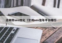 沧州市seo优化（沧州seo包年平台排行）