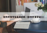 软件开发学徒是真的吗（软件开发学徒工）