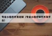 专业小程序开发定制（专业小程序制作开发平台）