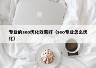 专业的seo优化效果好（seo专业怎么优化）