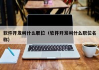 软件开发叫什么职位（软件开发叫什么职位名称）