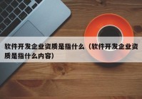 软件开发企业资质是指什么（软件开发企业资质是指什么内容）