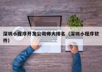 深圳小程序开发公司师大排名（深圳小程序软件）