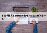 小程序开发属于软件开发吗（小程序开发是什么）