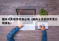 国内十大软件开发公司（国内十大软件开发公司排名）