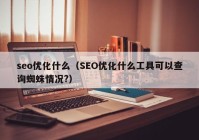 seo优化什么（SEO优化什么工具可以查询蜘蛛情况?）