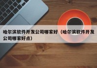哈尔滨软件开发公司哪家好（哈尔滨软件开发公司哪家好点）