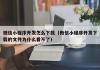 微信小程序开发怎么下载（微信小程序开发下载的文件为什么看不了）
