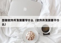 想做软件开发需要学什么（软件开发需要干什么）